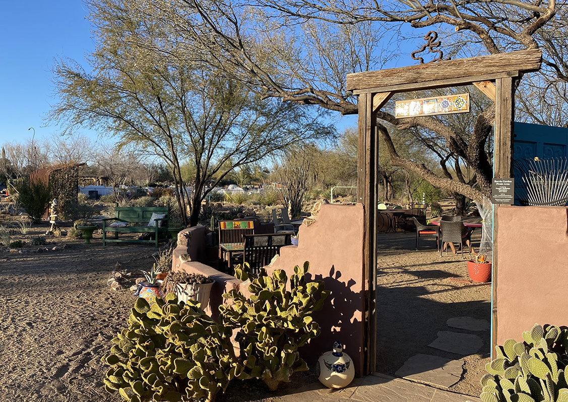 Desert Meadows Park is a Treasure Know Green Valley