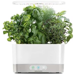 Indoor Hydroponic Garden