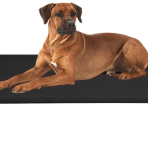 Dog Bed
