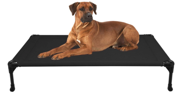 Dog Bed